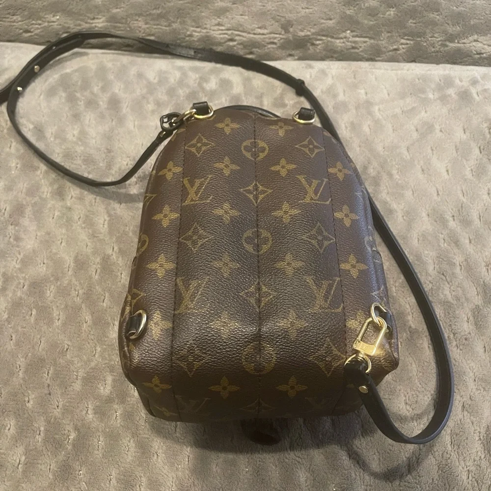 Louis Vuitton Palm Springs Mini - Picture 3 of 4